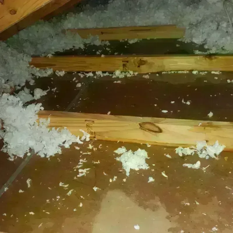 Attic Water Damage in Mission Hills, CA